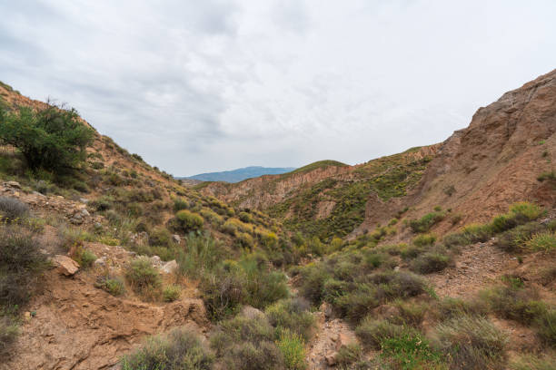 istock mountainous landscape in southern Spain 1269535039