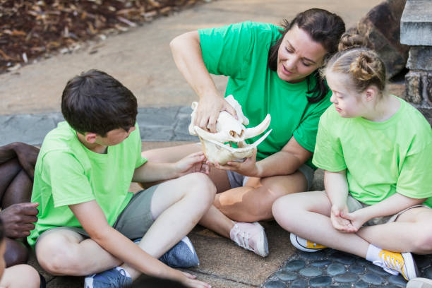 動物園へのフィールドトリップの子供たち、ダウン症の女の子 - field trip child learning classroom ストックフォトと画像