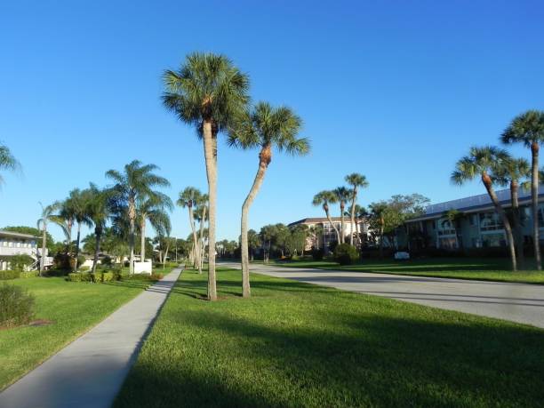 istock Street in Naples Florida 1269538155