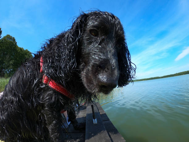istock Summer by the lake 1269539211