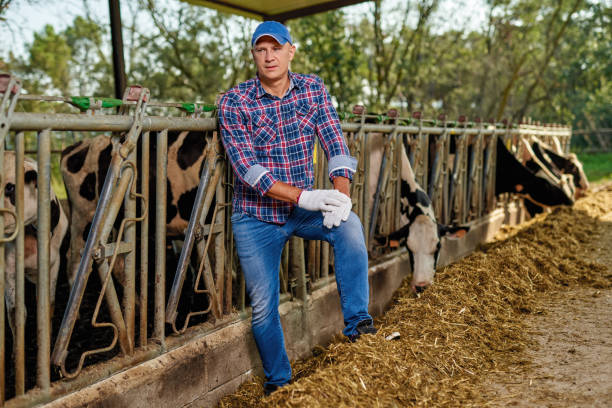 istock Farmer is working on farm with dairy cows 1269540249