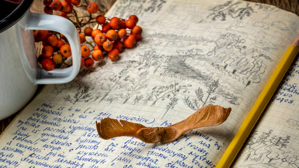 istock vintage expedition journal on a picnic table 1269540437