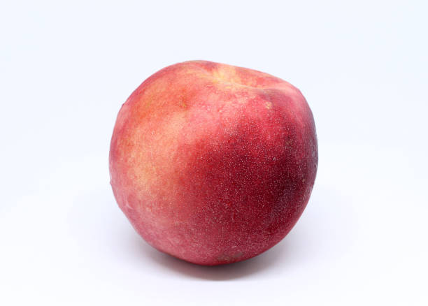 istock Nectarine fruit isolated on white background. A variation of peach 1269543583
