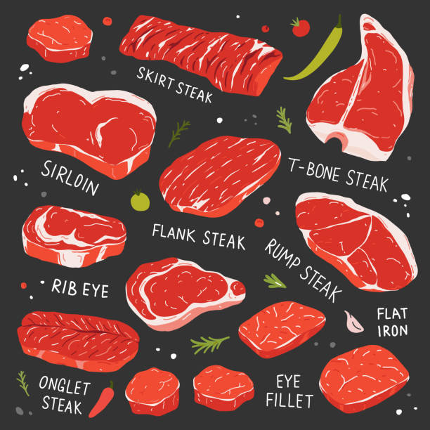 스테이크 컬렉션, 다양한 종류의 쇠고기 스테이크, 사실적인 일러스트레이션, t-bone, ribeye 및 안심 쇠고기 컷, 정육점 또는 스테이크하우스용 고기 종류, 벡터 아이콘 세트 분리 - steak meat t bone steak raw stock illustrations
