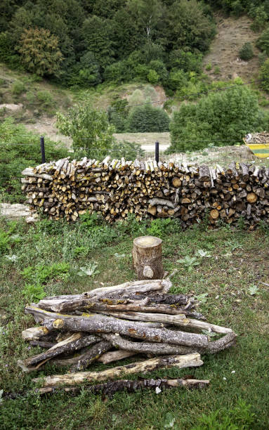 istock Felled wooden logs 1269552027