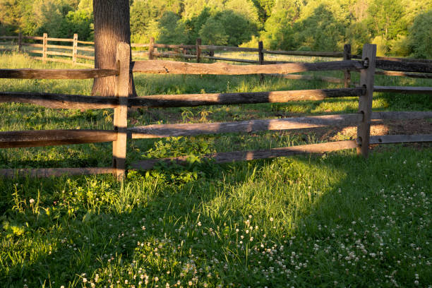 istock Fence in a farm at sunset 1269552055