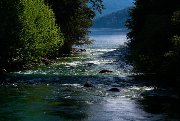 View of Correntoso River (Rio Correntoso), runs from Correntoso Lake to Nahuel Huapi Lake, standing out as one of the shortest rivers in the world. Villa La Angostura, Argentina