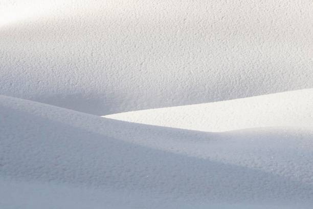 detail of winter landscape with soft curvy pattern