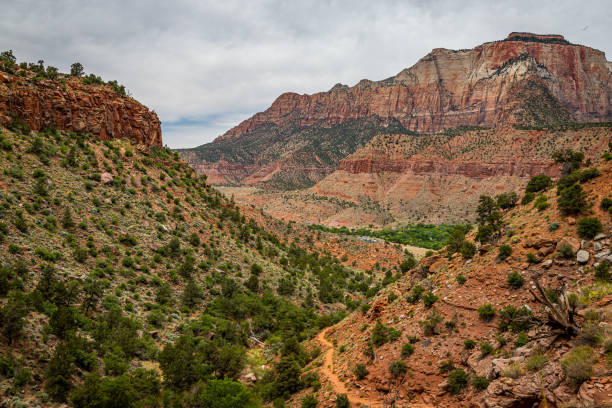 istock Watchman Trail View Zion National Park 1269555977