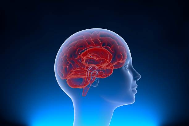 istock Neuralink surgically implant some computer components onto the surface of your brain to control equipments 1269557661