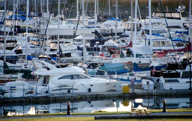 Crowded moorage in Semiahmoo Bay, Blaine, Washington Crowded moorage in Semiahmoo Bay, Blaine, Washington blaine washington stock pictures, royalty-free photos & images