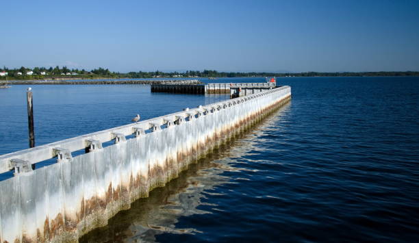 istock Wave breaker in Semiahmoo Bay, Blaine, Washington 1269557674