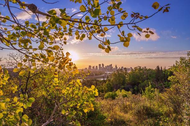 istock Vivid Summer Sunrise Sky Over Calgary 1269562534