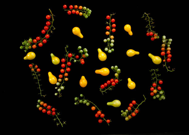 istock Yellow pear tomatoes and currant tomatoes 1269567094