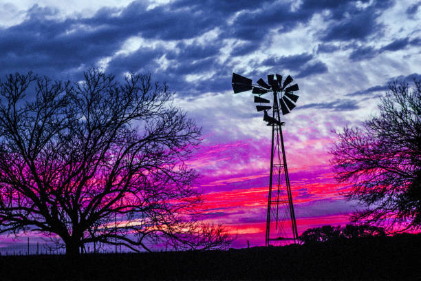 istock Old metal Texas windmill with tree silhouetted in dramatic sky sunset landscape 1269567820
