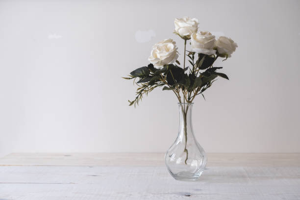 istock bunch of white roses in vase on white background 1269569442