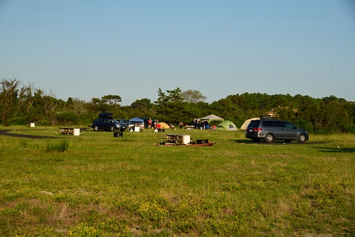 A large family gathering in the Bayside Camping Area of the Assateague Island National Seashore on a late August morning with tents, kids, pets and family members of all types. School, if it starts, will start in a week and all our tourists will be gone