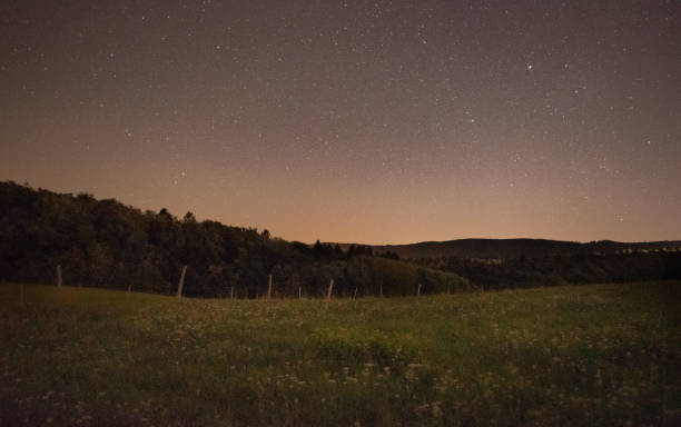 istock Forest landscape with a starry sky in the background 1269572231