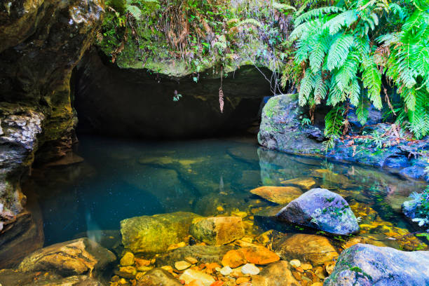 bm gr can cave fosse d’eau - cave fern flowing forest photos et images de collection