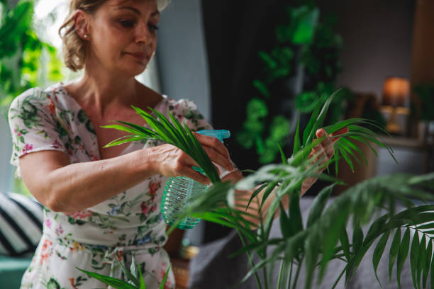 istock It is scientifically proven that house plants make people feel better 1269580890