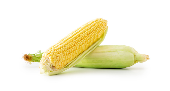 Corn, Corn - Crop, Corn On The Cob, Cut Out, White Background