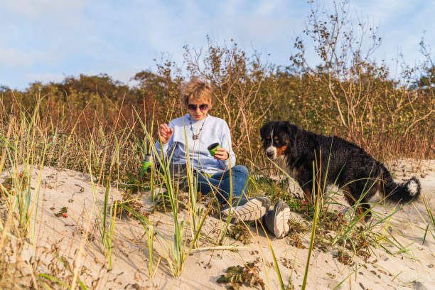 donna attiva e attraente matura di 55 anni con il suo cane, zennenhund, seduta su una riva del mare su una duna sabbiosa che cresceva con la rosa canina, nella soleggiata giornata autunnale, e bevendo un tè. - women mature adult 50 55 years 50s foto e immagini stock