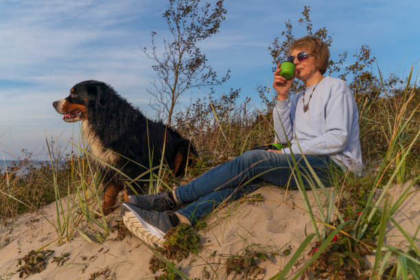 donna attiva e attraente matura di 55 anni con il suo cane, zennenhund, seduta su una riva del mare su una duna sabbiosa che cresceva con la rosa canina, nella soleggiata giornata autunnale, e bevendo un tè. - women mature adult 50 55 years 50s foto e immagini stock