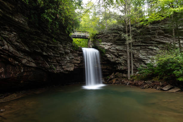 литл-стоуни-фолс в юго-западной вирджинии - blue ridge mountains stream forest waterfall стоковые фото и изображения