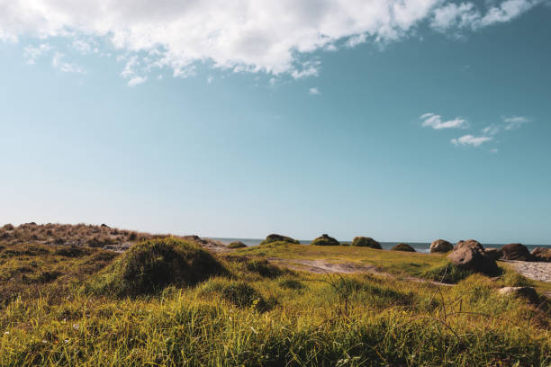 istock East coast Pikawai 1269585422