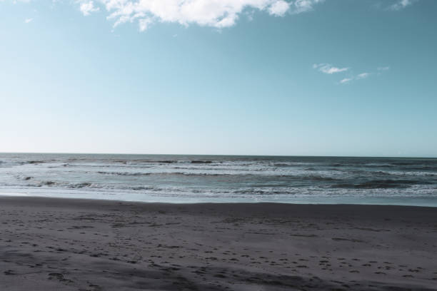 istock East coast Pikowai 1269586432
