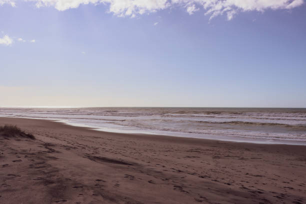 istock East coast Pikowai 1269586438