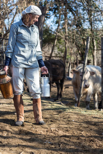 istock rural working woman milking the cows 1269589043