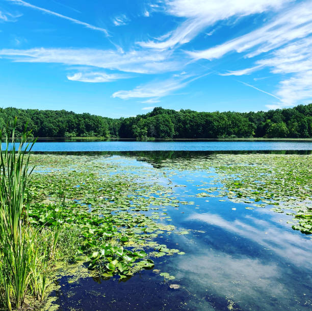 istock Beautiful Lakeside Relaxation 1269590674