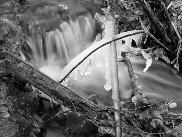 istock Laletina stream in winter 1269601301