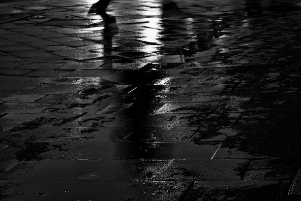 istock Human Foot Paving Sidewalk Pavement Wet Pedestrian 1269602613