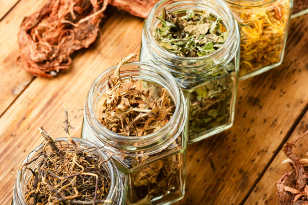 istock Healing herbs or medicinal herbs 1269617240