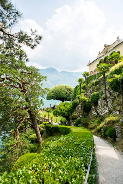 sentiero che segue l'albero famoso in giardino a villa del balbianello sul lago di como. italia. - lenno foto e immagini stock