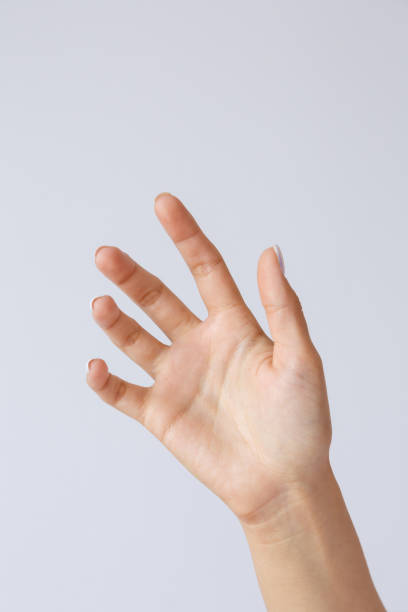 istock Gesture and symbol. Hand holds or shows smartphone 1269624327