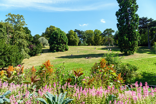 Paris, France - July 20 2020: Flowerbed in Buttes-Chaumont park with People on the grass in the background - Paris, France