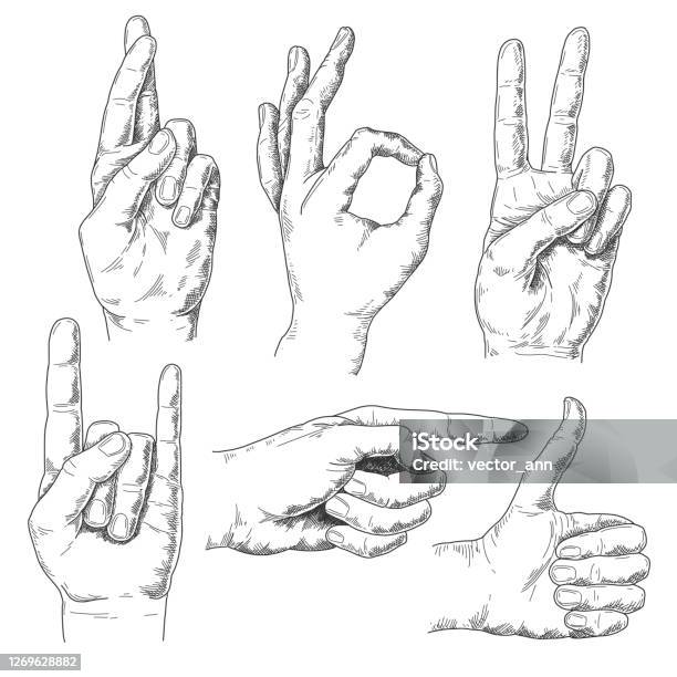 Hand Pict Vintage Hand Drawn Hand Gestures Isolated On White Background Pen And ...