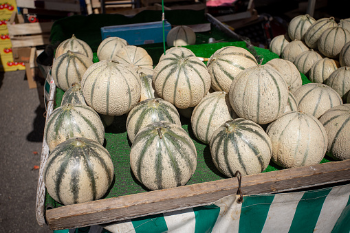 melon stall