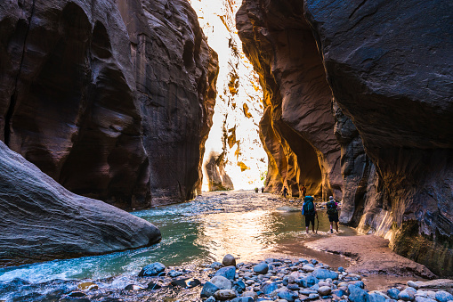 beautiful of narrow in the afternoon  in Zion National park,Utah,usa.