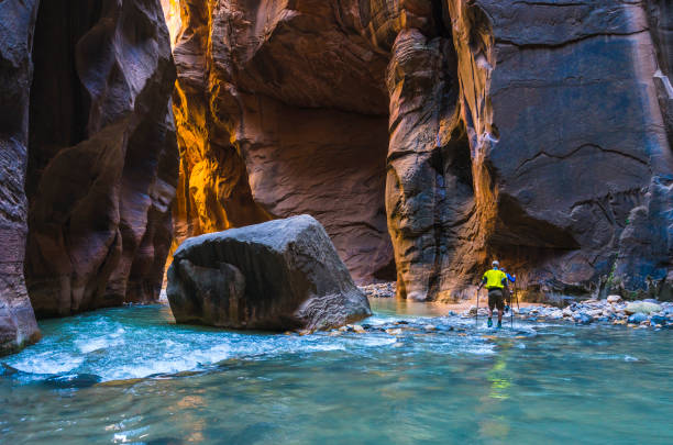 schön von schmal am nachmittag in zion nationalpark,utah,usa. - zion narrows stock-fotos und bilder