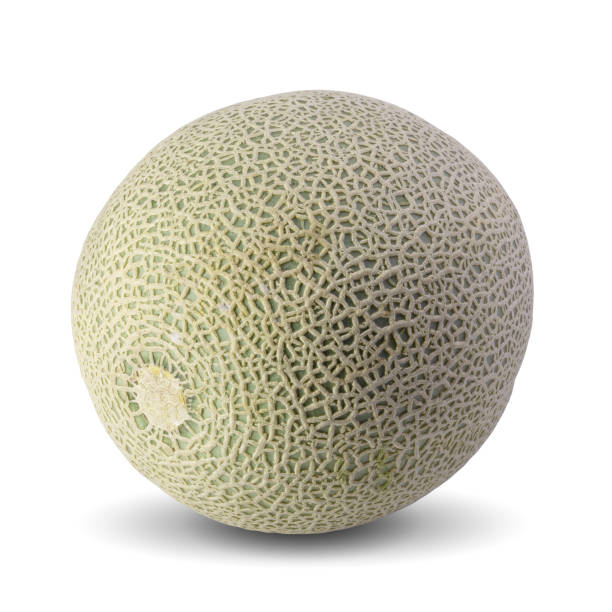 A delicious piece of cantaloupe melon.\n\n [url=file_closeup.php?id=9698666][img]file_thumbview_approve.php?size=1&id=9698666[/img][/url] [url=file_closeup.php?id=7913977][img]file_thumbview_approve.php?size=1&id=7913977[/img][/url] [url=file_closeup.php?id=3893265][img]file_thumbview_approve.php?size=1&id=3893265[/img][/url] [url=file_closeup.php?id=3893200][img]file_thumbview_approve.php?size=1&id=3893200[/img][/url] [url=file_closeup.php?id=3366914][img]file_thumbview_approve.php?size=1&id=3366914[/img][/url] [url=file_closeup.php?id=3366902][img]file_thumbview_approve.php?size=1&id=3366902[/img][/url] [url=file_closeup.php?id=3366880][img]file_thumbview_approve.php?size=1&id=3366880[/img][/url] [url=file_closeup.php?id=20293996][img]file_thumbview_approve.php?size=1&id=20293996[/img][/url] [url=file_closeup.php?id=20293934][img]file_thumbview_approve.php?size=1&id=20293934[/img][/url] [url=file_closeup.php?id=20293877][img]file_thumbview_approve.php?size=1&id=20293877[/img][/url] [url=file_closeup.php?id=3389444][img]file_thumbview_approve.php?size=1&id=3389444[/img][/url]\n\n[url=http://www.istockphoto.com/my_lightbox_contents.php?lightboxID=701259][img]http://www.joanvicentcanto.com/directori/menjars.jpg[/img][/url] \n[url=http://www.istockphoto.com/my_lightbox_contents.php?lightboxID=6651609][img]http://www.joanvicentcanto.com/directori/vetta.jpg[/img][/url]