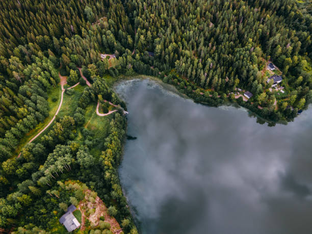 aerial view to finnish landscape in nuuksio national park. - coastline aerial view forest pond imagens e fotografias de stock