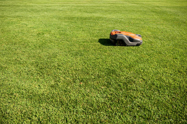 istock Automatic lawn mower robot moves on the green grass 1269636979