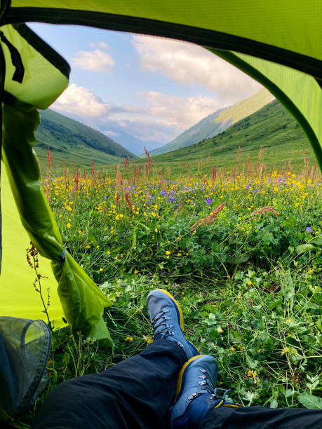 istock Morning in the mountains. View from a tent. 1269642819