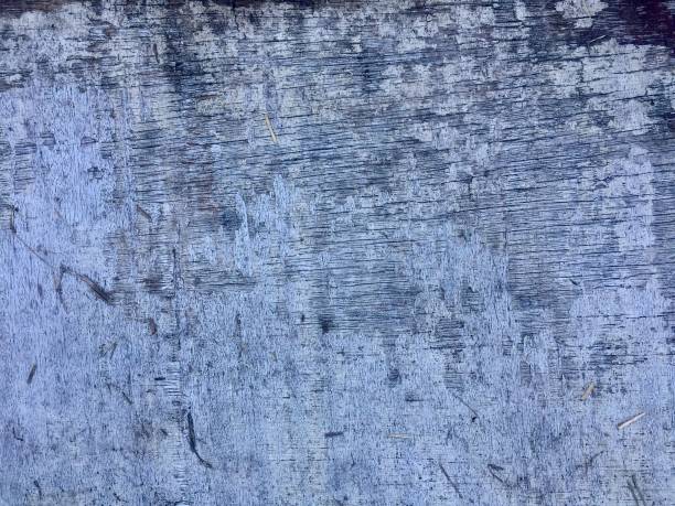 istock Grunge wood background 1269645031