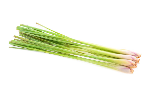 istock Lemongrass isolated on white background 1269645124