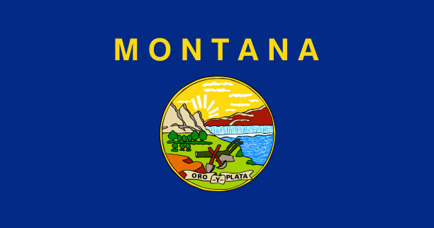 ilustrações de stock, clip art, desenhos animados e ícones de national flag of montana, vector illustration, vector of montana flag. - montana flag us state flag banner